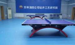 乒乓球午夜福利一区多少钱一平方米